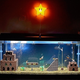 Image for article titled Watch A Super Mario Bros. Aquarium Get Built From Scratch
